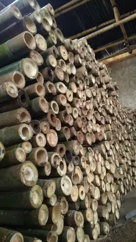 Jual bambu steger