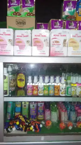 JUAL Obat Kutu, Jamur KUCING di PET SHOP FELIX PURWOREJO.