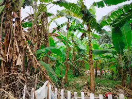 Dijual Tanah , Jati Asih, BEKASI