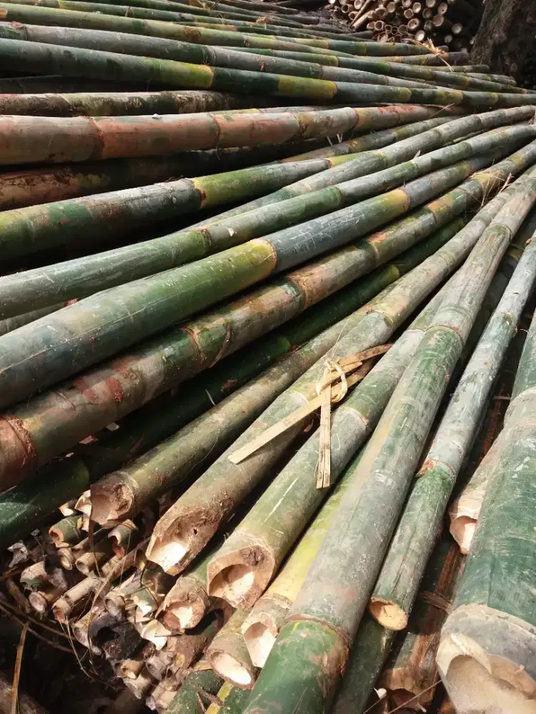 Jual bambu steger/umbul umbul/bambu cor/gombong kayu papan kaso2