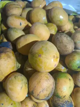 Tenaga Produksi