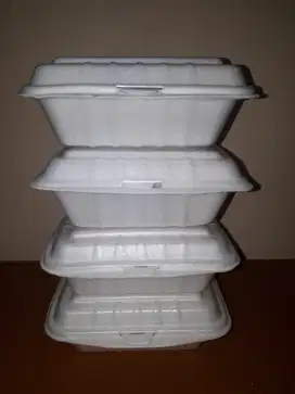 Lunch box Styrifoam Makanan