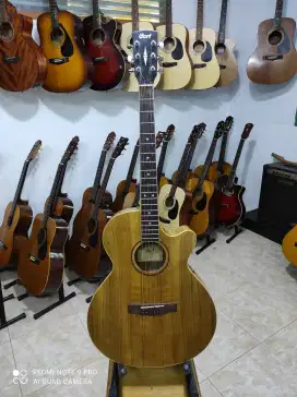 CORT SFX- DAO NAT Limited (Akustik Elektrik)