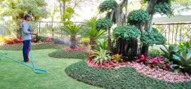 taman depan&kolam