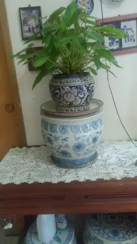 Pot bunga cantik