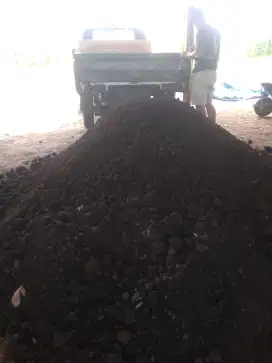 Jual tanah hitam humus(Topsoil).