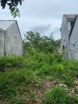 Dijual tanah dekat pusat kota Pacitan