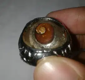 Cincin Batu Kerang Unik