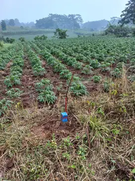 Di jual tanah sasak panjang, citayam, bogor