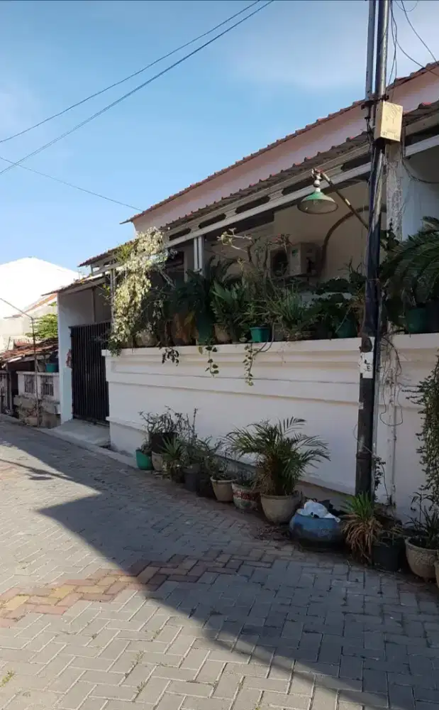 Dijual cepat. 2 kavling Rumah Jl. Tambak Mas Semarang