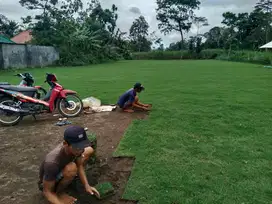 Jual Rumput Golf Brebes Harga Termurah