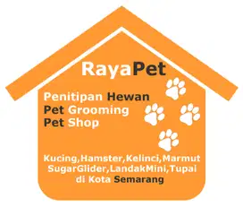 Penitipan Kucing, Sugar Glider, Hamster, Landak, Kelinci di Semarang