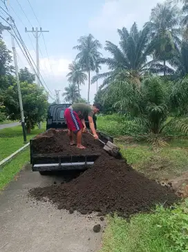 Tanah hitam topsoil keyla flower