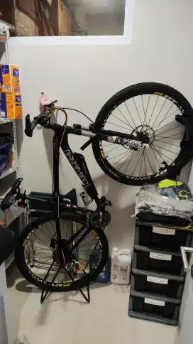 Sepeda MTB LOUISE GARNEAU CANADA XC BART 29 size XL