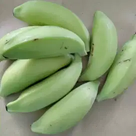 pisang batu muda