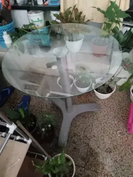 Meja makan kaca bulat 60cm dari indachi