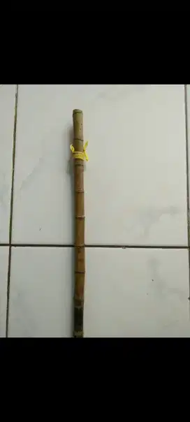 Tongkat Kayu Asli Borneo