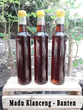 Madu Klanceng Asli Baduy Banten