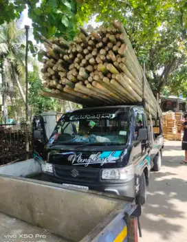BAMBU STEGER UK.5/7 PANJANG 6MTR