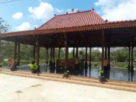 Rumah limasan. Rumah Jawa. Rumah kayu