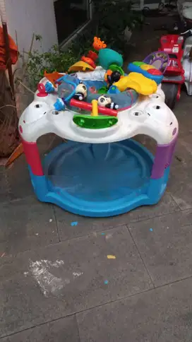 Baby Einstein Gym