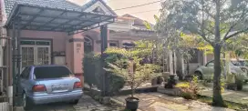 Di jual cepat rumah bagus di sentul city