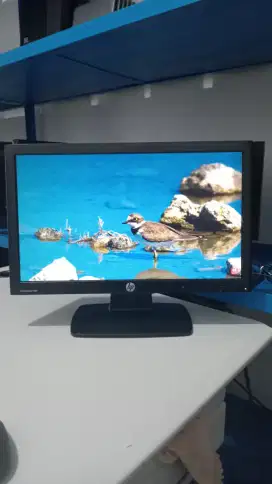 Monitor LCD HP 20 inci