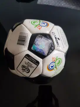 FIFA World Cup Soccer Ball Germany 2006 World Cup Logo Size 2