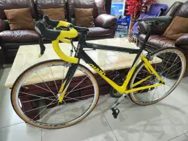 Sepeda roadbike Giant TCR C3 rare