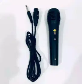 Microphone karaoke