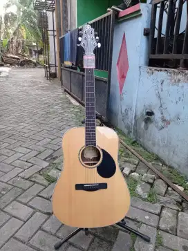 solid!!!  samick gregbennet GDR 210