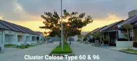 Cherryfield Cluster Calosa Type 96/154