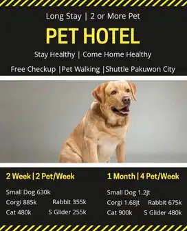 petshop surabaya