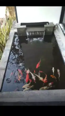 pembuatan kolam koi modern minimalis dll