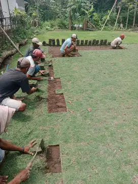 Harga permeter rumput jepang Bandung