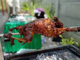 KAMBING GULING AMM MURAH JOGJA