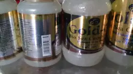 gamat emas obat patah tulang radang sendi obat luka