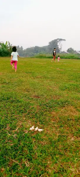 Jasa antar jemput sekolah dan pekerja