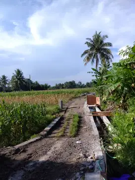 Dijual Tanah Sawah 721m di Triharjo - Sleman, Jl Letkol Subadri