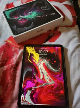 Ipad pro 11 512gb cellular wifi malang