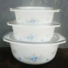 Arcopal Pyrex Made in France