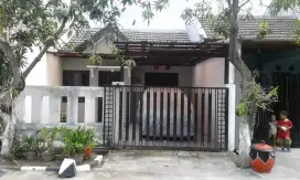 Rumah Mungil Disewa Driyorejo Kota Baru.