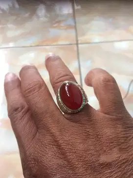 Batu cincin merah raflesia bengkulu