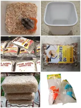 Paket Hamster ( Winter White, Box, Botol, Makan, Pasir, Serbuk )