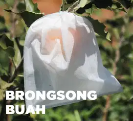 Brongsong Pelindung Buah Murah, Anti Serangga!