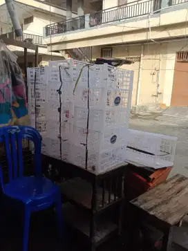 Keranjang buah, sayuran dan lain-lain
