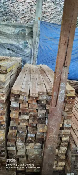 Kayu proyek 5x10x400