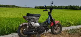 Honda c70 mini kecil