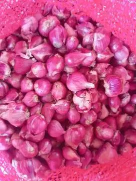 Bawang Merah Brebes Fresh