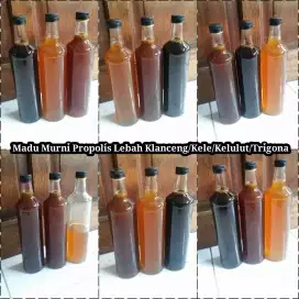 Madu Murni Lebah Trigona/Kele/Klanceng (Garansi) Uji Sebelum Membeli